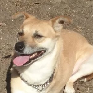 Meet your Posher, Anne